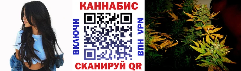 Марихуана конопля  Зеленогорск 